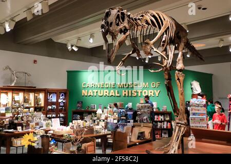 Boutique de cadeaux à l'intérieur du musée d'histoire naturelle de Carnegie avec une décoration de squelette de dinosaure en premier plan.Pittsburgh.Pennsylvania.USA Banque D'Images