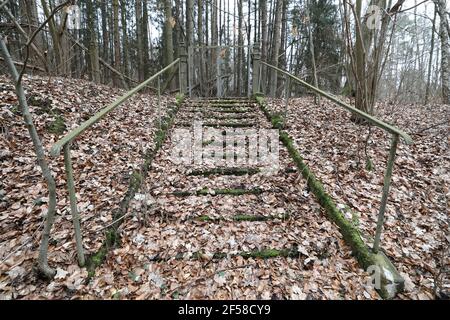 23 mars 2021, Mecklembourg-Poméranie occidentale, Hohenzieritz: Une entrée surclimatiques au bunker protecteur pour la direction du district de SED Neubrandenburg dans une zone boisée. Le site sera mis aux enchères par Deutsche Grundstücksauktionen AG (Berlin) le 25.03.2021. L'offre minimale pour environ 280 mètres carrés de zone utilisable de bunker comprenant 5000 mètres carrés de forêt sécurisée avec barbelé est de 7000 euros. Lors de la vente aux enchères, qui aura lieu via Internet en raison des restrictions de Corona, 78 propriétés, principalement de l'Allemagne de l'est, seront mises à la vente. Photo: Bernd Wüstneck/dpa-Zentralbil Banque D'Images