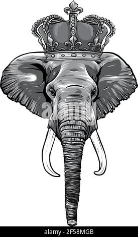 dessin de la tête éléphant roi animal illustration vectorielle Illustration de Vecteur