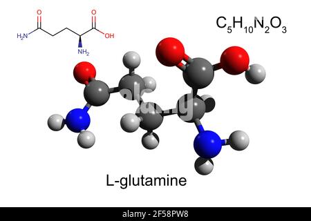 Formule chimique, formule squelettique et modèle boule-et-bâton 3D de la L-glutamine, un acide aminé non essentiel, fond blanc Banque D'Images