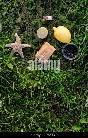 Composition de coquillages exotiques, d'étoiles de mer et de tranches de citron.Concept de produits de nettoyage de mer ou d'été tropical, vue de dessus.Marine, savon et essence Banque D'Images