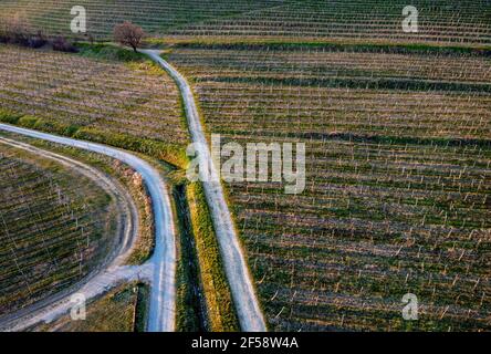 Photographie aérienne de plusieurs façons dans les vignobles avant le coucher du soleil. Routes d'accès aux vignobles. Banque D'Images