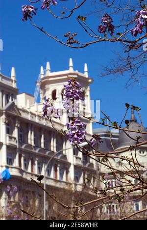 Paseo de la Castellana à Madrid Banque D'Images