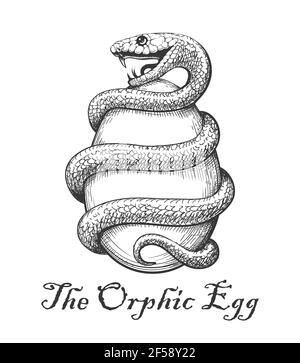 Serpent avec oeuf. Symbole d'œuf orphelin ésotérique dessiné en style gravure. lustration vecto. Illustration de Vecteur