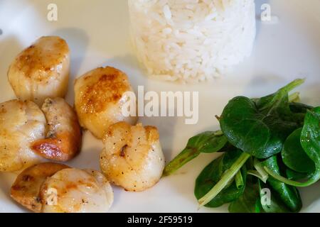 Assiette de pétoncles grillés avec du riz et de la mâche Banque D'Images