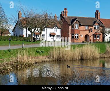 L'étang à caillebotis dans le village d'Askham Richard, North Yorkshire, Angleterre Royaume-Uni Banque D'Images