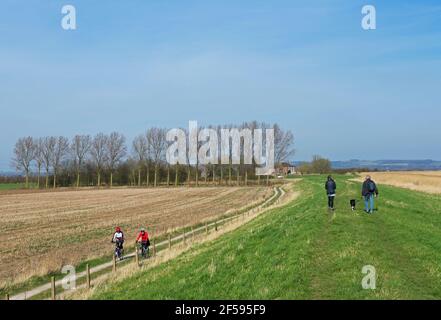 Marcheurs et cyclistes sur le Trans Pennine Trail, près de Faxfleet, East Yorkshire, Angleterre Banque D'Images