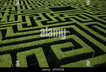 Détail labyrinthe dans une forêt, jeu et amusement Banque D'Images