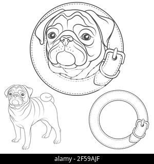 Ensemble vectoriel d'images de la tige dans le collier. Objets isolés. Illustration de Vecteur