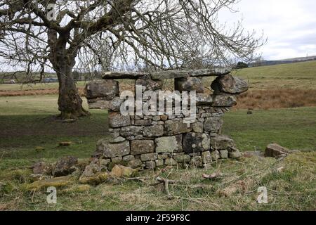 Château de Sanquhar, Sanquhar Dumfries & Galloway, Écosse, Royaume-Uni. 22 mars 2021 Banque D'Images