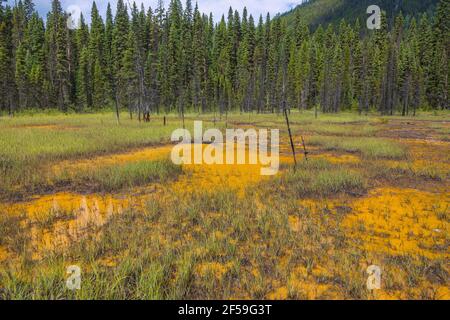 Géographie / Voyage, Canada, Parc national Kootenay, Pot de peinture, droits supplémentaires-autorisation-Info-non-disponible Banque D'Images