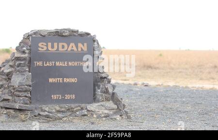 Tombe du Soudan; le dernier rhinocéros blanc du nord à l'OL Pejeta Conservancy, Kenya Banque D'Images