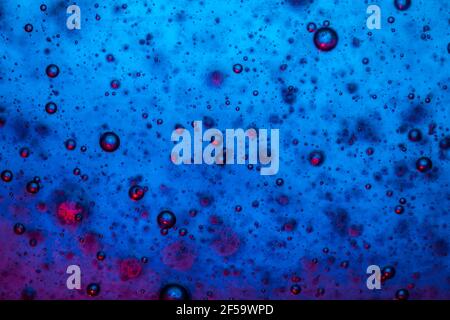 Grandes belles bulles d'oxygène sous l'eau sur un fond bleu macro. Mouvement des bulles d'oxygène dans un liquide à l'éclairage du studio Banque D'Images