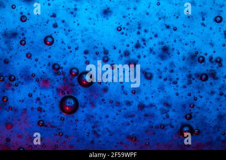 Grandes belles bulles d'oxygène sous l'eau sur un fond bleu macro. Mouvement des bulles d'oxygène dans un liquide à l'éclairage du studio Banque D'Images