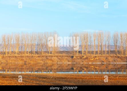 Arbres poussant en rangée de l'autre côté de la rivière . Paysage printanier au bord de la rivière avec glace en fusion Banque D'Images