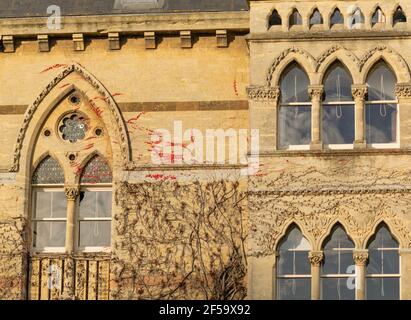 Oxford, Royaume-Uni 22 nov 2020 : mur de l'université Christ Church fermé avec des fenêtres gothiques et de la lierre rouge qui s'infiltre. Fondée en 1546 par le roi Henry VIII coll Banque D'Images