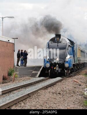 Train à vapeur principal qui traverse la station de Chippenham, transporté par LNER classe A4 Pacific No 60019 Bittern, fonctionnant sous le n° 4492 (voir note). Banque D'Images