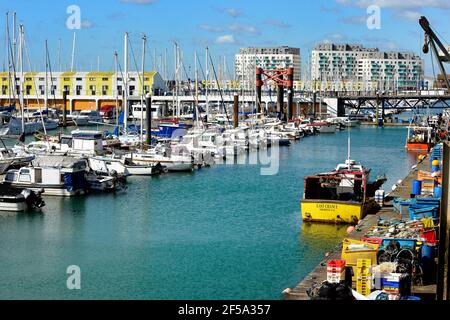 Bateaux amarrés dans le port de plaisance de Brighton Banque D'Images