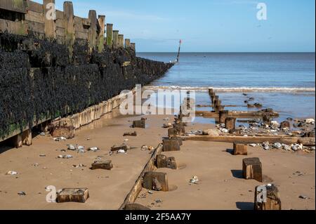 Une groyne avec des algues noires à marée basse avec plus Groynes en bois recouvertes de sable à marée basse dans North Norfolk Banque D'Images