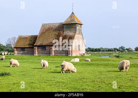 Moutons paissant à côté de St Thomas une église Becket sur le marais Romney à Fairfield, Kent, Royaume-Uni Banque D'Images