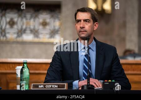 Le sénateur américain Tom Cotton (républicain de l'Arkansas), écoute lors d'une audition sur le « United States Special Operations Command and United States Cyber Command » avec le Comité des services armés du Sénat sur Capitol Hill à Washington DC le 25 mars 2021. Crédit: Anna Moneymaker/Pool via CNP /MediaPunch Banque D'Images