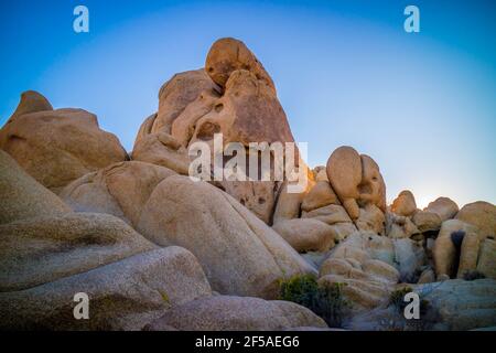 Rocher de roches dans Joshua Tree National Park Banque D'Images