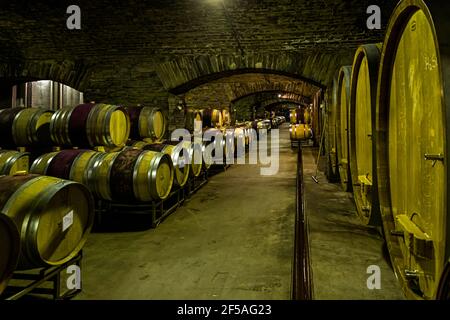 Cave à vin de la plus ancienne coopérative viticole du monde à Mayschoß, en Allemagne, avant l'inondation de 2021 Banque D'Images