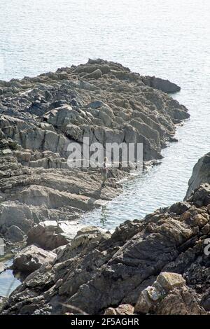 Le rivage des Rocheuses à Torrs point à l'embouchure de Kirkcudbright Bay Kirkcudbright Dumfries et Galloway Écosse Banque D'Images