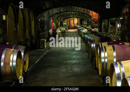 Cave à vin de la plus ancienne coopérative viticole du monde à Mayschoß, en Allemagne, avant l'inondation de 2021 Banque D'Images