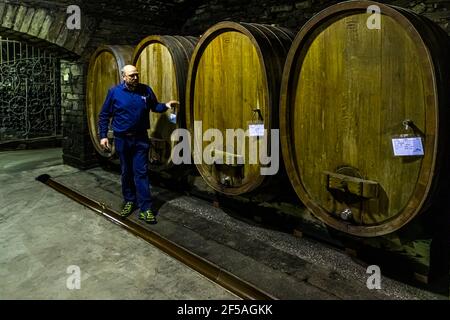 Cave à vin de la plus ancienne coopérative viticole du monde à Mayschoß, en Allemagne, avant l'inondation de 2021 Banque D'Images