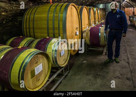 Cave à vin de la plus ancienne coopérative viticole du monde à Mayschoß, en Allemagne, avant l'inondation de 2021 Banque D'Images