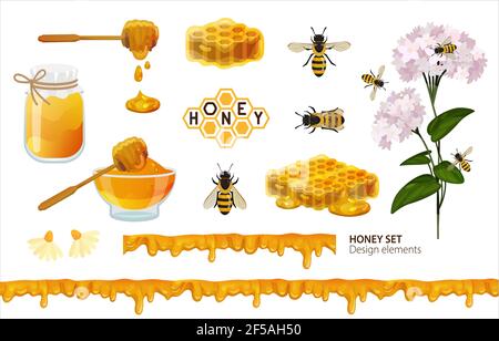 Ensemble miel. Éléments de design avec abeilles, nid d'abeilles, cuillère en bois, logo, pot avec miel liquide et goutter sans couture, plantes à fleurs de sarrasin Illustration de Vecteur