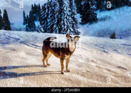 Chien en montagne, magnifique paysage d'hiver enneigé. Effet de peinture. Banque D'Images