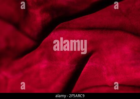 Gros plan de l'oignon rouge coupé pour le fond. Banque D'Images