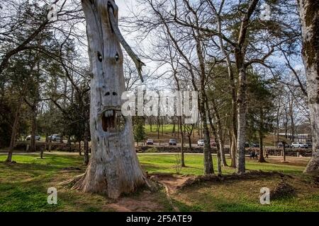 Montevallo, Alabama/USA-Mars 12: L'un des célèbres visages en bois sculpté dans la partie de Tinglewood d'Orr Park par l'artiste Tim Tingle. Banque D'Images