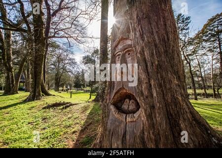 Montevallo, Alabama/USA-Mars 12: L'un des visages boisés d'Orr Park par l'artiste Tim Tingle avec une rafale de soleil derrière l'arbre et les femmes sur le tr de marche Banque D'Images