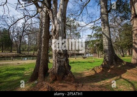 Montevallo, Alabama/USA-Mars 12: L'un des célèbres visages en bois sculpté dans Orr Park par l'artiste Tim Tingle avec le sentier de randonnée visible en arrière-plan Banque D'Images