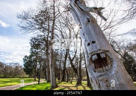 Montevallo, Alabama/USA-Mars 12: L'un des célèbres visages en bois sculpté dans Orr Park par l'artiste Tim Tingle avec une autre sculpture visible en arrière-plan. Banque D'Images