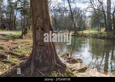 Montevallo, Alabama/USA-Mars 12: Un des visages boisés d'Orr Park par l'artiste Tim Tingle dans un arbre à côté de Shoal Creek. Banque D'Images