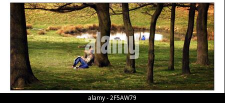 Première journée chaude au printemps à Richmond Park.Trouvez un endroit et profitez du soleil pendant qu'il dure... pic David Sandison 15/4/2003 Banque D'Images