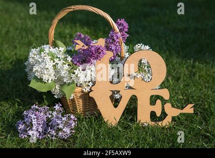 sur la pelouse verte, il y a un panier en osier dans lequel il y a beaucoup de lilas fleuris de couleurs blanc et pourpre. Près du grand mot beige amour. Carte de vœux Banque D'Images