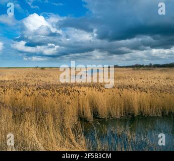 La réserve naturelle et la plage de la RSPB à Titchwell Marsh Norfolk Banque D'Images