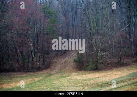 Les signes du printemps commencent à apparaître dans une photo de paysage prise dans le parc du lac Fairfax, dans le nord de la Virginie. Banque D'Images