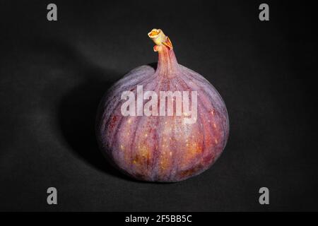 figs fruit sur fond noir Banque D'Images