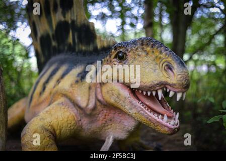 Œil à œil avec les dinosaures : modèle LifeSize d'un dimétrodon. Banque D'Images