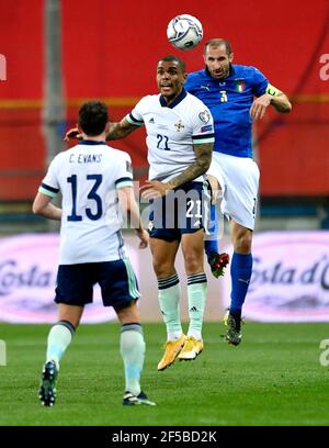 Josh Magennis (au centre), en Irlande du Nord, et Giorgio Chiellini, en Italie, se battent pour le ballon lors du match C de qualification de la coupe du monde FIFA 2022 au Stadio Ennio Tardini, à Parme. Date de la photo: Jeudi 25 mars 2021. Banque D'Images