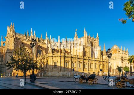 Vue panoramique sur la cathédrale de Séville avec calèche Banque D'Images