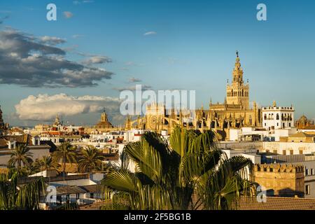 Vue aérienne de la cathédrale de Séville et de la Giralda, Séville, Espagne Banque D'Images