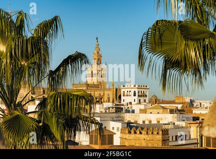 Vue panoramique sur la cathédrale de Séville et la Giralda, Séville, Espagne Banque D'Images