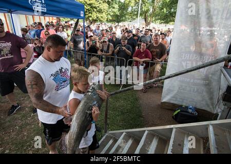 Un nouiller triomphant expose fièrement son poisson-chat à une foule enthousiaste lors du tournoi annuel Okie Noodling à Paul's Valley, Oklahoma. Banque D'Images